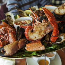 Diet untuk Penderita Asam Urat