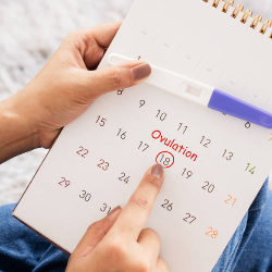 8 Cara yang Bisa Dilakukan Agar Cepat Hamil