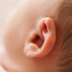 Mums, Sudah Tahu Cara Membersihkan Telinga Bayi yang Benar?