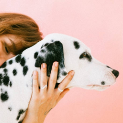 Kamu Tipe Dog Owner atau Dog Lover?