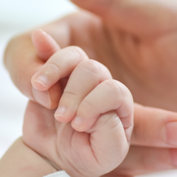 Cara Menyusui Bayi Prematur