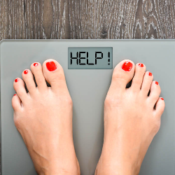 Cara Mudah Hitung BMI dan Kebutuhan Kalori dengan Kalkulator Gizi