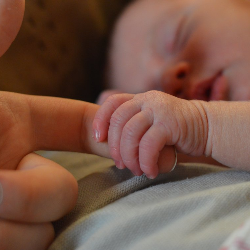 Waspada Virus Japanese Encephalitis Dapat Mengakibatkan Kematian!