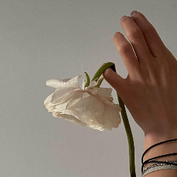 Perbedaan Kista vs Miom pada Rahim & Dampaknya untuk Kesuburan