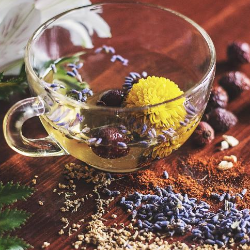 Fakta di Balik Detoks Herbal