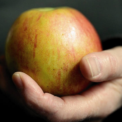 Diet Ketat Karbohidrat selama 6 Bulan, Diabetes Berhasil Remisi!