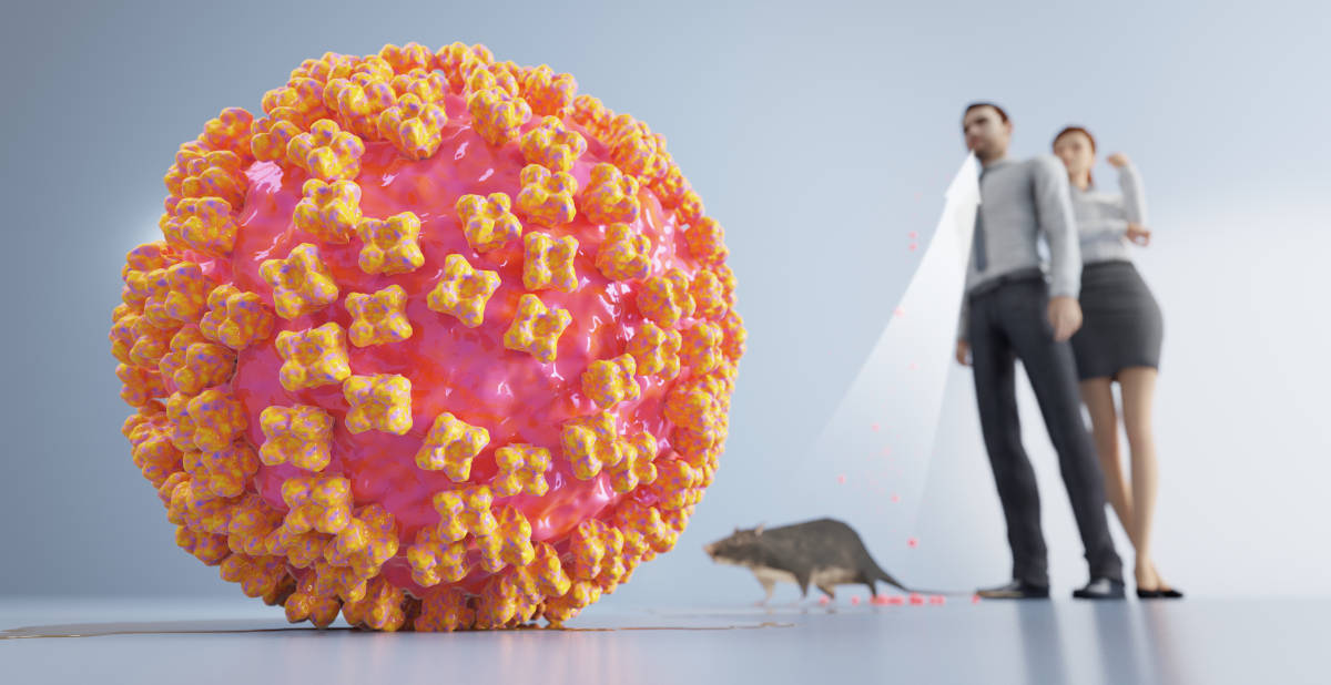 Mengenal Hantavirus dan Wabah di Kapal Pesiar, Kenali Gejalanya!