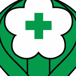 Perkembangan Kesehatan dan Imunisasi di Indonesia dari Masa ke Masa