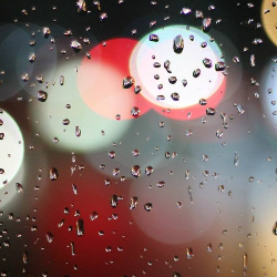 Musim Hujan Si Pembawa Sakit