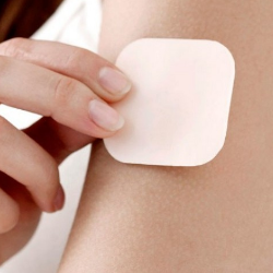 Fakta Koyo yang Perlu Kamu Tahu!