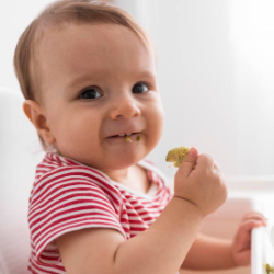 Finger Food untuk Bayi Usia 7-12 Bulan