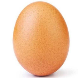 Viral, Foto Telur di Instagram Kalahkan Rekor Like Kylie Jenner!