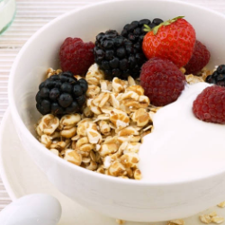 Fungsi Bakteri Baik untuk Kesehatan Pencernaan