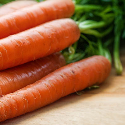 Benarkah Wortel Dapat Menyebabkan Alergi?