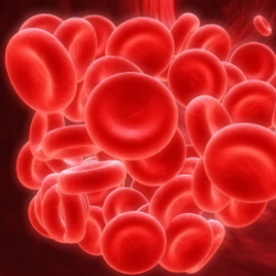 Gumpalan Darah Pemicu Stroke dan Serangan Jantung, Kenali Gejalanya!