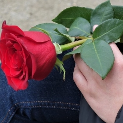 Menopause Bukan Halangan Capai Orgasme!