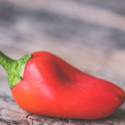 Mikropenis, Bisakah Memuaskan Pasangan?