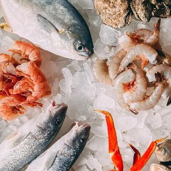 Ikan Apa yang Aman untuk Ibu Hamil?