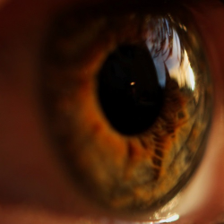 Ini Arti Kedutan di Mata Menurut Kesehatan!