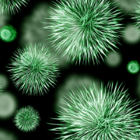 Hati-hati, Ini Dia 5 Bakteri yang Termasuk Superbug!