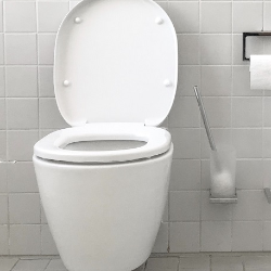 Ini Penyebab Feses Berwarna Hijau