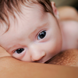 Mums, Ketahui Pentingnya IMD untuk Kesuksesan ASI Eksklusif