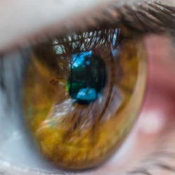 Mata Terlalu Sering Berkedip, Apakah Normal?