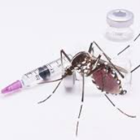 Izin Edar Vaksin Dengue Kedua Terbit di Indonesia