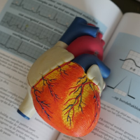 Jangan Anggap Remeh, Kurang Tidur Bisa Merusak Jantung