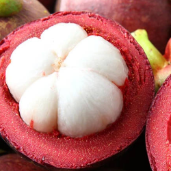 Buah Lokal Tidak Kalah Bernutrisi dari Buah Impor