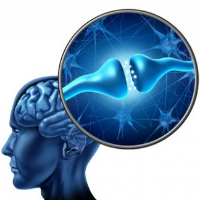 Keajaiban Neurotransmiter Otak Manusia