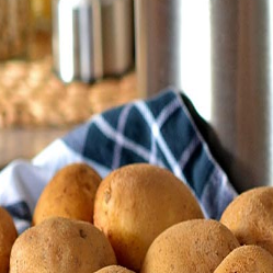 Mengenal Lebih Dalam tentang Alergi Kentang, Yuk!