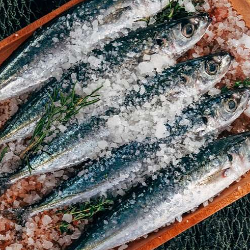 Inilah Bahaya Keracunan Merkuri!