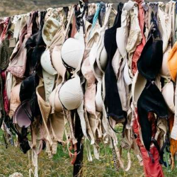 Kesalahan yang Sering Dilakukan Saat Mencuci Bra