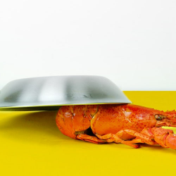 10 Kesalahan Mengolah Bahan Makanan