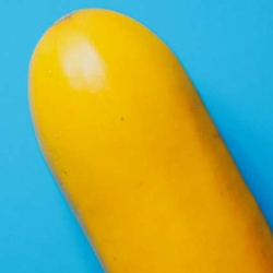 Begini Cara Menjaga Kesehatan Reproduksi Pria