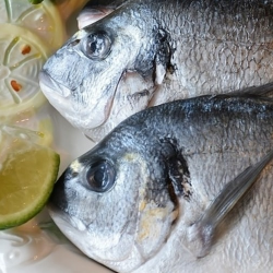 Kuis: Seberapa Paham Kamu tentang Kandungan Gizi pada Ikan!