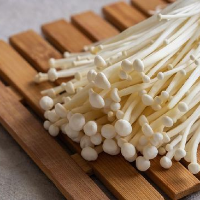 Listeria, Apakah Hanya Ada di Jamur Enoki?
