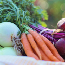 Makanan Organik, Sehat untuk Tubuh dan Lingkungan