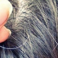 Makanan Penyebab Rambut Cepat Beruban