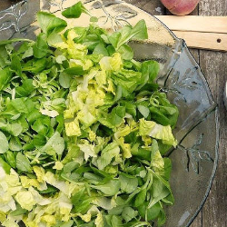 Makanan yang Sebaiknya Dihindari Saat Perut Kosong