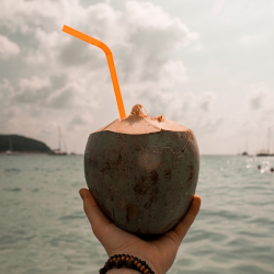 Benarkah Air Kelapa Hijau Baik untuk Ibu Hamil?