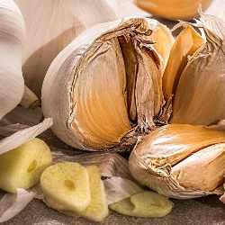 Ketahui Yuk Berbagai Manfaat Bawang Putih untuk Kesehatan!