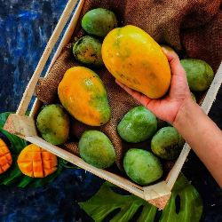 Manfaat Buah Mangga untuk Ibu Hamil Ternyata Banyak!