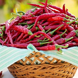 Cabai Bikin Panjang Umur, Ini Hasil Penelitiannya!