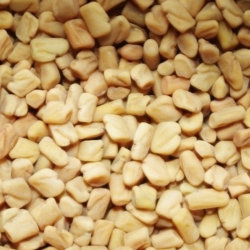 Kenali Manfaat Fenugreek sebagai Booster ASI