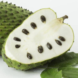 Dikenal sebagai Antikanker, Ini Fakta Manfaat Sirsak untuk Kesehatan!