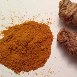 Benarkah Temulawak Berkhasiat Meningkatkan Nafsu Makan Anak?