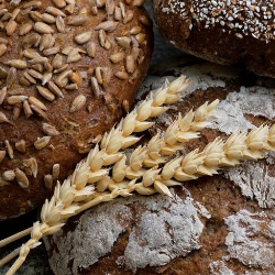 Mau Hidup Lebih Sehat? Ketahui Jenis-jenis Karbohidrat!