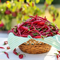 Mau Kurus, Coba Diet Cabai!